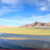 Profile Picture of Robyn Gill (@robyngill8217) on Youtube