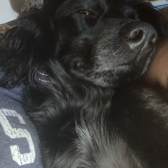 Lucero Cantero - Poshmark Profile Picture of Lucero Cantero (@lucycantero11) on Poshmark