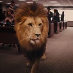 Profile Picture of DD87 (@dennisadam1987) on Instagram