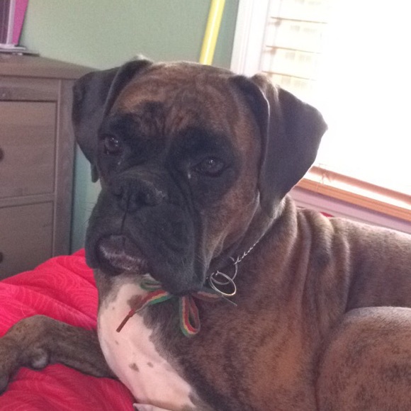 Profile Picture of Morgan Koblick (@mkoblick) on Poshmark