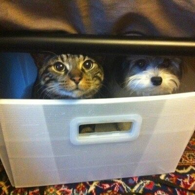 Profile Picture of Brian Groves (@61Briangroves) on Twitter