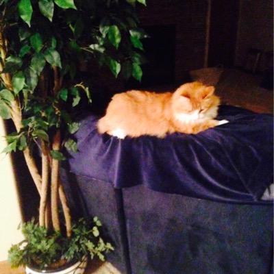 Profile Picture of Doris Taylor (@DorisTa65965861) on Twitter