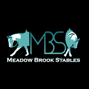 Profile Picture of Meadowbrookstables (@meadowbrookstables) on Youtube