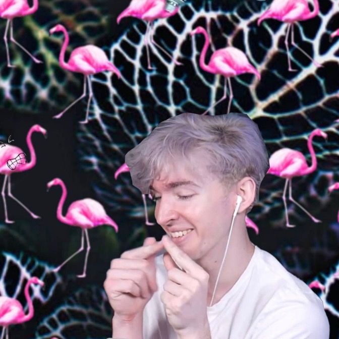 Profile Picture of Albert!!!❤️❤️❤️ (@albert_flamingo_edits1) on Tiktok