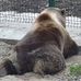 Profile Picture of Steve Bear (@steve.bear.108) on Facebook