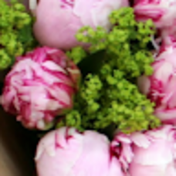 Profile Picture of Allie p. Alexander (@alleyway07) on Poshmark