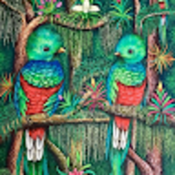 Profile Picture of Mario Ortiz (@mario33608) on Poshmark