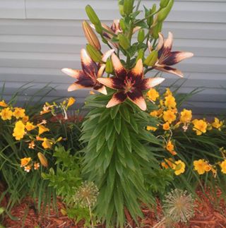 Profile Picture of Gary Wilking (Gr) (@gary.wilking.1) on Facebook