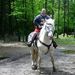 Profile Picture of Steven Iles (@iles0203) on Pinterest
