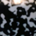 Profile Picture of chasemurdock20 (@chasemurdock20) on Instagram