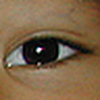 Profile Picture of Yuki Riley (@Yuki R) on Flickr