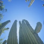 Profile Picture of Lilian Frausto (@lilian.frausto.2025) on Facebook