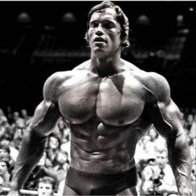 Profile Picture of Arnold Schwarzenegger (@ArnoldSchw) on Pinterest