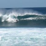 Profile Picture of Jeff Mears (@kepelihilife) on Instagram
