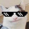 Profile Picture of lawrencehsieh (@lawrencehsieh) on Tiktok