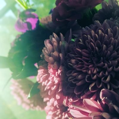 Profile Picture of David Hankel (@DavidHankel) on Twitter