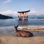 Profile Picture of lifeng_zhang (@lifeng__zhang) on Instagram