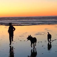 Nick Till - Quora Profile Picture of Nick Till (@nick-till-11) on Quora