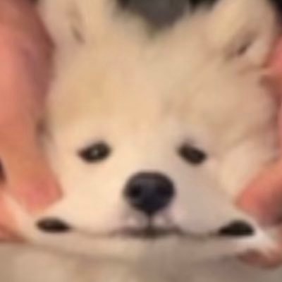 Profile Picture of Yiming Chen (@Yimingchen_0121) on Twitter