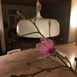 Profile Picture of Benedicte Suhr (@benedictesuhr) on Instagram
