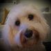 Profile Picture of Jo Pitcher (@jo.pitcher.10) on Facebook