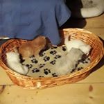 Profile Picture of Thomas Jungen (@jungen.t) on Instagram