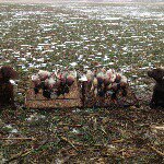 Profile Picture of Jeff Prange (@prange.j) on Instagram