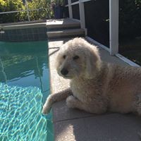 Profile Picture of Michele Austin (@michele-austin-16) on Quora