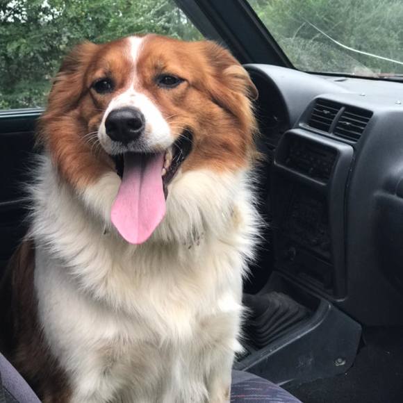 Scott Entrekin - Poshmark Profile Picture of Scott Entrekin (@scottentrekin) on Poshmark