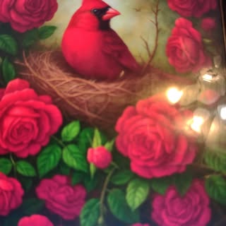 Profile Picture of Cecilia Rowland (@rowlandcecilia) on Instagram