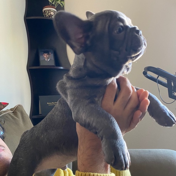 Profile Picture of Valyntina Thomas (@valyntinat) on Poshmark