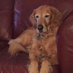 Profile Picture of Nancy Molter (@nancymolter) on Instagram