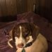 Profile Picture of Ruby Shipman (@ruby.shipman.71) on Facebook