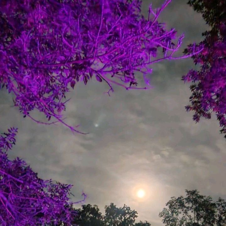 Profile Picture of JosephCar (@jojocarz) on Tiktok