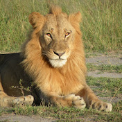 Profile Picture of Alan Howe (@alanhowe2702) on Youtube