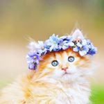 Profile Picture of Olivia spaulding (@olivia.spaulding.08) on Instagram