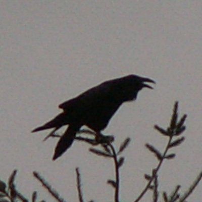 Profile Picture of Pat Richards (@Gwendolyn679) on Twitter