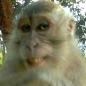Profile Picture of Justin Haskell (@justinhaskell5502) on Youtube