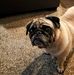 Profile Picture of Cathi Vanderpool (@cathi.vanderpool.3) on Facebook