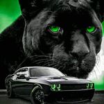 Dennis Charbonneau - Instagram Profile Picture of Dennis Charbonneau (@dctitan71) on Instagram