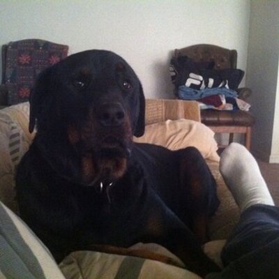 Profile Picture of Michael Minnella (@MichaelMinnella) on Twitter
