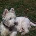 Profile Picture of Tommie Patrick (@tommie.patrick.75) on Facebook