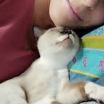 Profile Picture of Loredana Berrettini (@Loredana-Berrettini) on Facebook