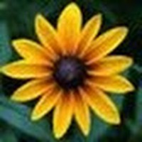Profile Picture of Jesse Cody (@jesse-cody-5) on Quora