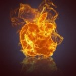 Profile Picture of Jacob Stanfield (@stanfield2005) on Instagram