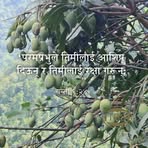 Profile Picture of Matthew Milan K Magar (@Matthew-Milan-K-Magar) on Facebook