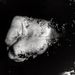 Profile Picture of Steven Weinberg (@stevenbweinberg) on Pinterest