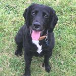 Profile Picture of Darren Slade (@slade_darren) on Instagram