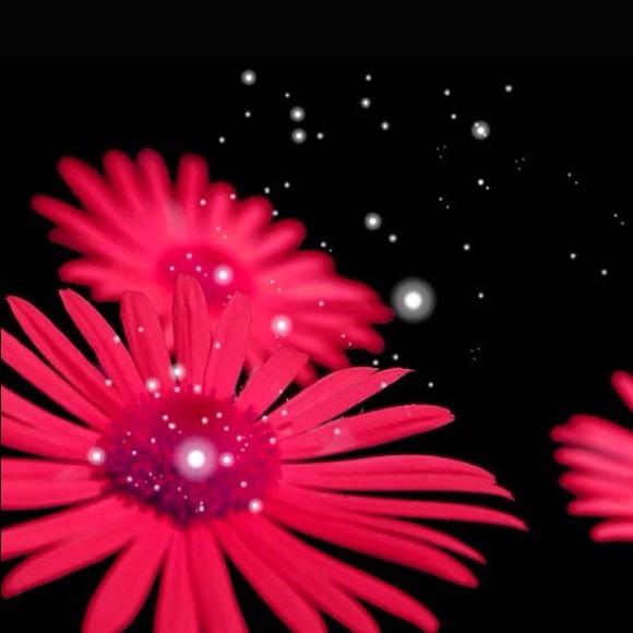 Profile Picture of Carlee Speede (@youngx0love) on Poshmark