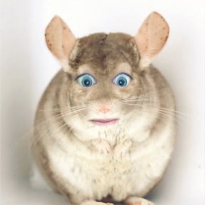 Profile Picture of T.Anne (@Teresa_iiGuess) on Twitter